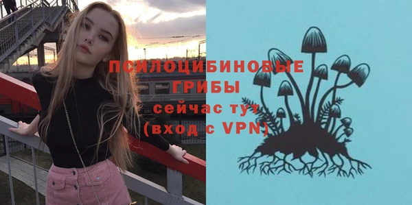 2c-b Аркадак