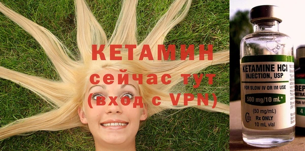 ПСИЛОЦИБИНОВЫЕ ГРИБЫ Губаха