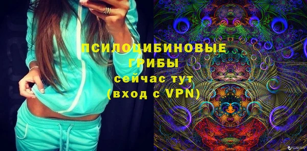 герыч Арсеньев